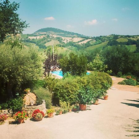 Casale Il Cerqueto Bed & Breakfast Сан Северино Марке Стая снимка