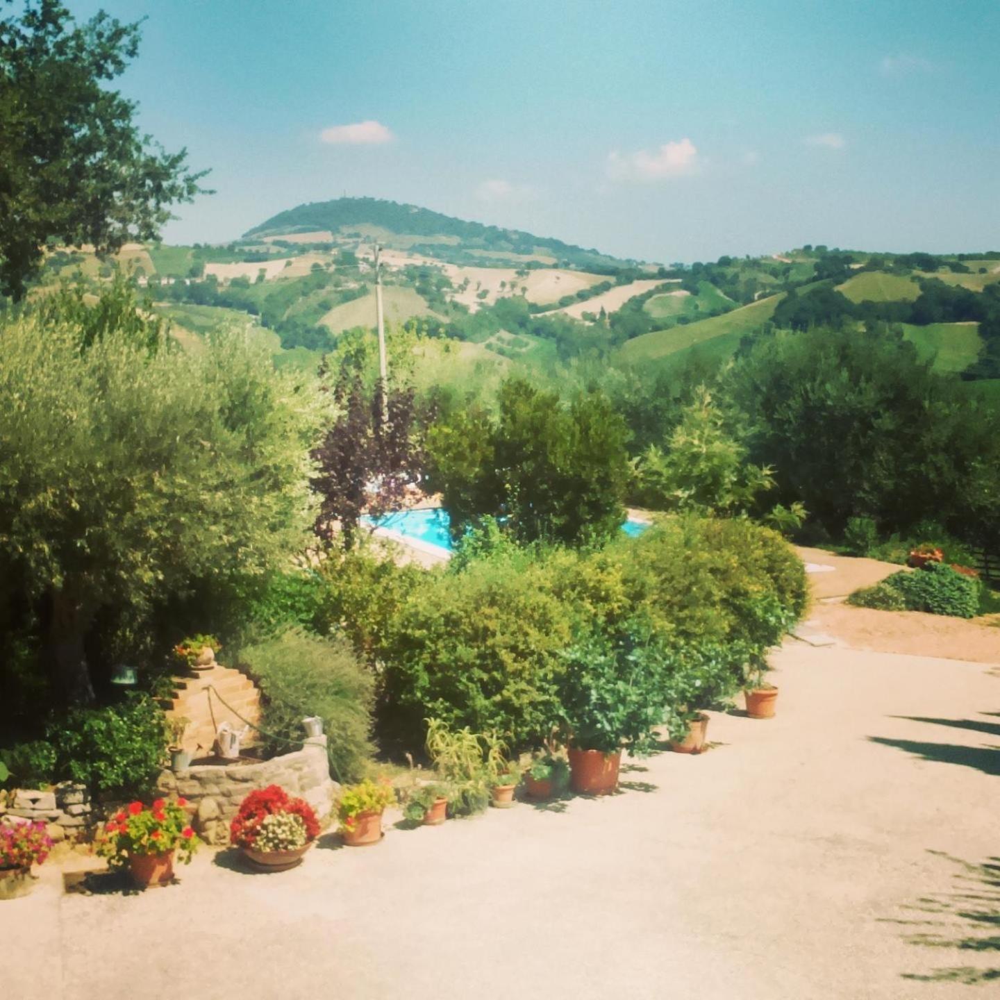 Casale Il Cerqueto Bed & Breakfast Сан Северино Марке Стая снимка