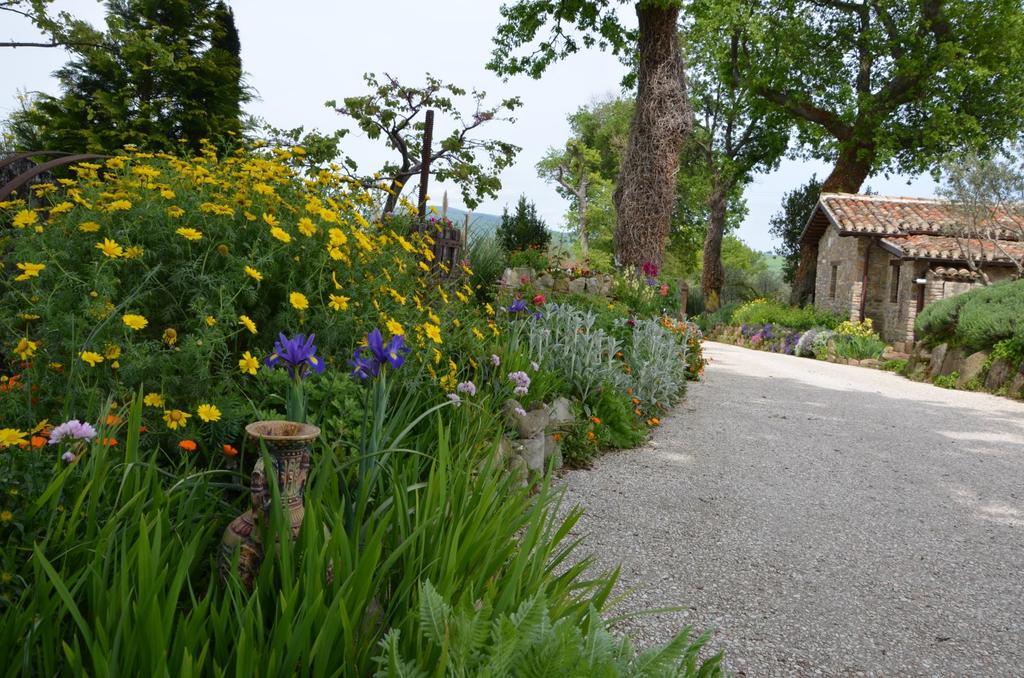 Casale Il Cerqueto Bed & Breakfast Сан Северино Марке Екстериор снимка