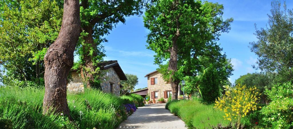 Casale Il Cerqueto Bed & Breakfast Сан Северино Марке Екстериор снимка