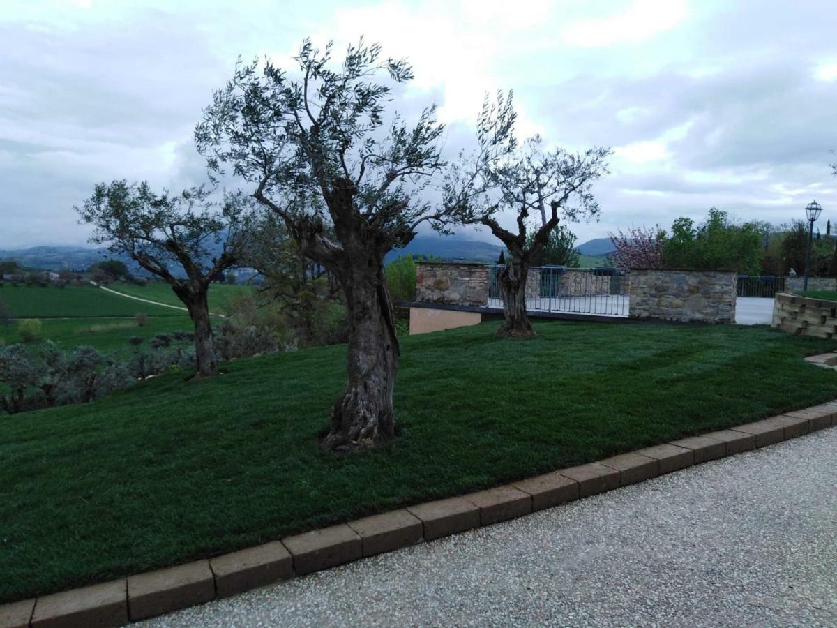 Casale Il Cerqueto Bed & Breakfast Сан Северино Марке Екстериор снимка